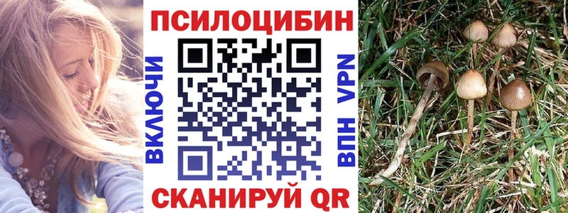 Галлюциногенные грибы MAGIC MUSHROOMS  Нарьян-Мар 